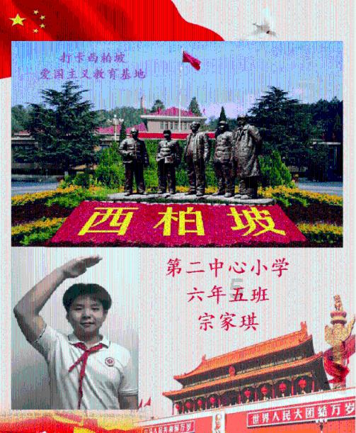 燃烧的蔬菜4新鲜战队