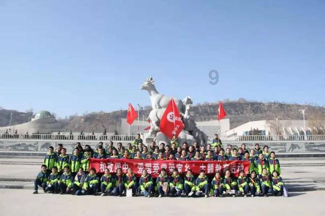牛很肥但毛没光泽怎么回事？游戏画面