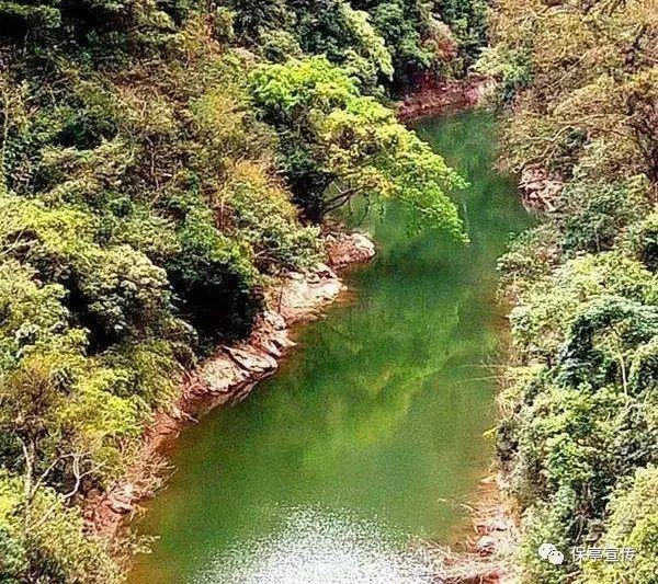 太阁立志传5