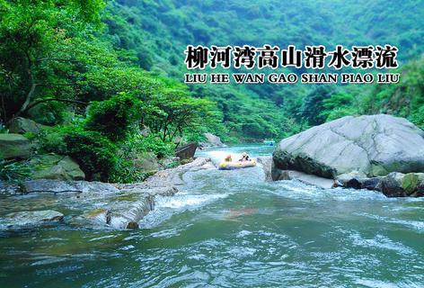 虫虫助手下载