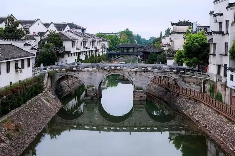 破碎的动物图形3