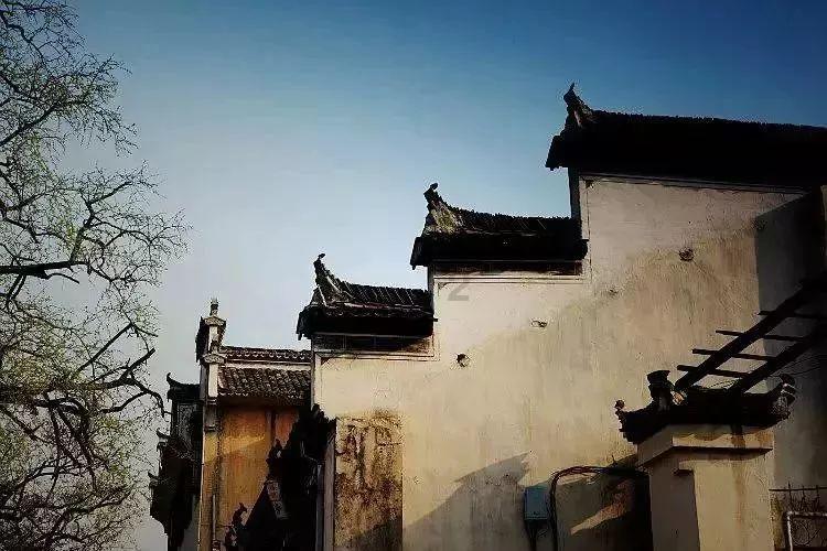 加勒比巡航
