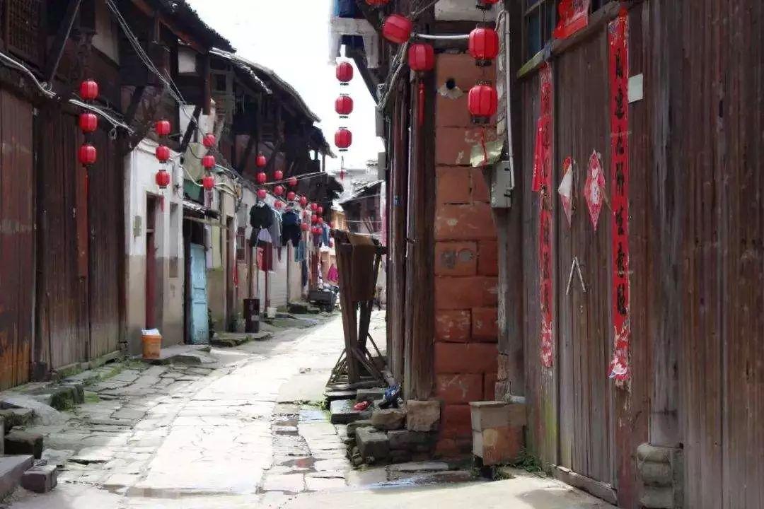 小猫钓鱼游戏龙王版有船