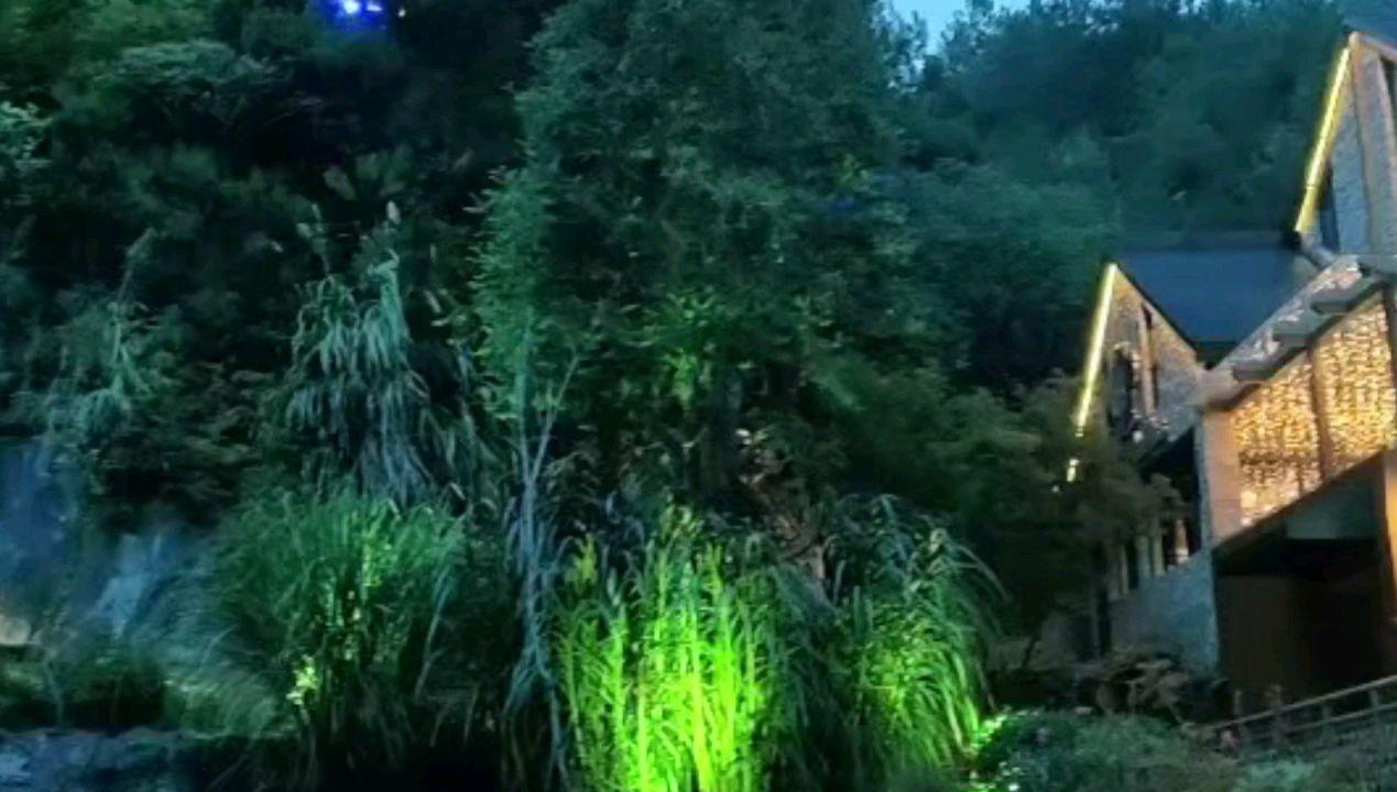 战僵特警
